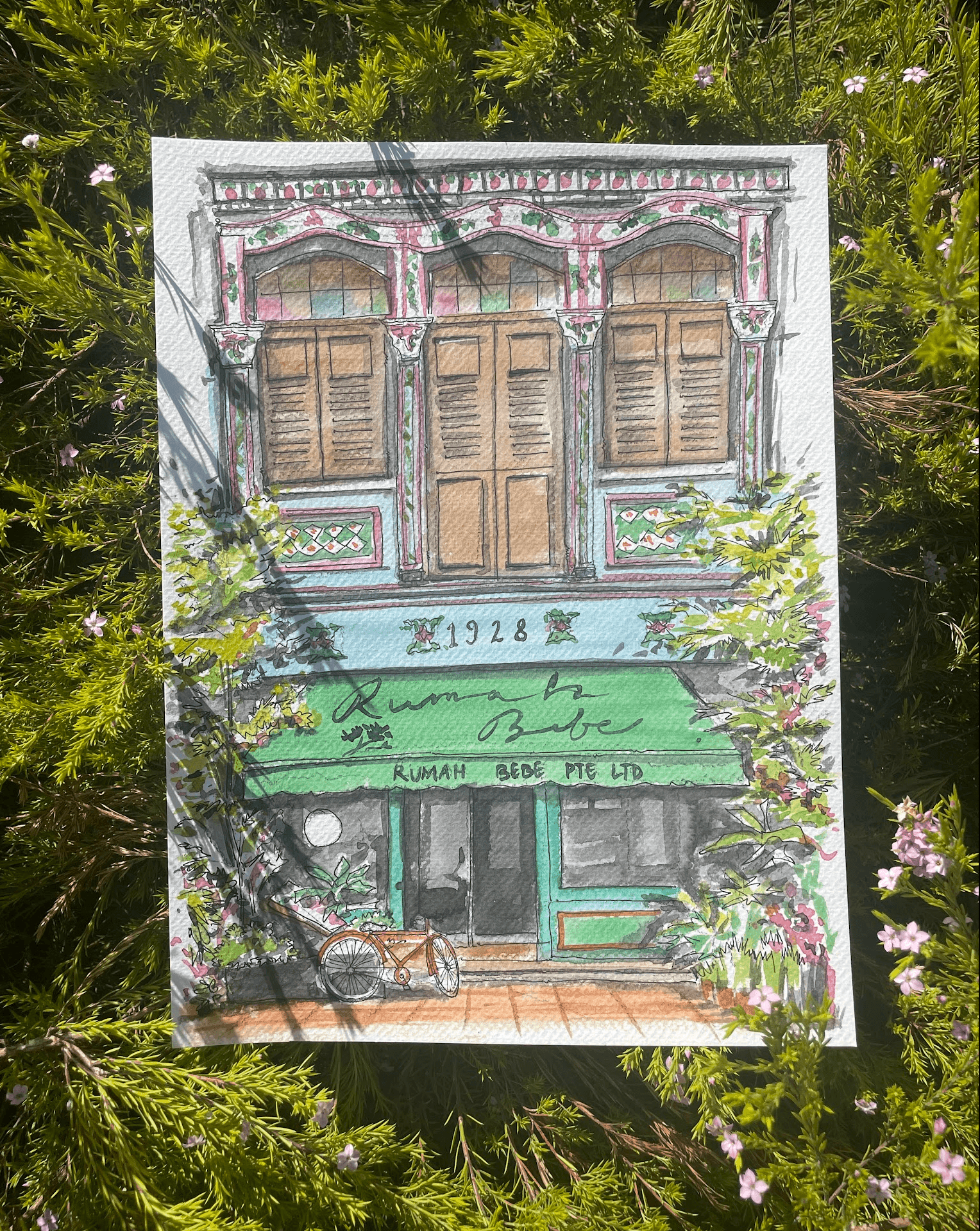 Illustration of a vintage building with wooden shutters, greenery, and a bicycle.